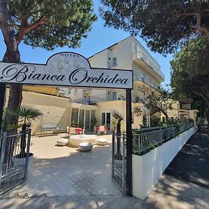 Hotel Bianca Orchidea Riccione